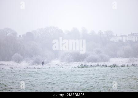 Chester, UK. 12th Dec, 2022. A lone walker makes her way through the Meadows that have been transformed into a winter wonderfalnd in Chester, UK. Credit: Simon Hyde/Alamy Live News. Stock Photo