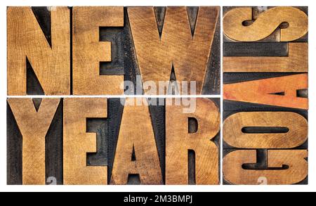 New Year goals - resolution and goal setting concept - isolated text in letterpress wood type Stock Photo
