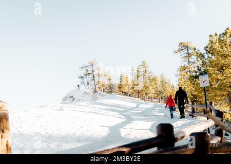 Irriconoscibile Padre e figlio camminano sulla neve invernale nel Bryce Canyon National Park nello Utah per ammirare l'anfiteatro. Foto Stock