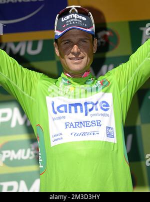 Italiano Alessandro Petacchi del Team Lampre - Farnese festeggia sul podio nella maglia verde dopo la tappa 11 del 2010 Tour de France, da Sisteron a Bourg-le-Valence. Foto Stock