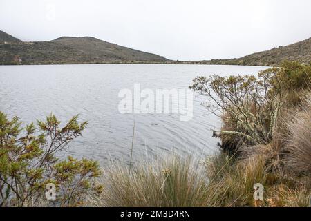 Lago di Sumapaz Paramo, conosciuto come 'Laguna de los colorados' con piante endemiche 'fraginejones', muschi e colline rocciose sullo sfondo ner Bogota Foto Stock