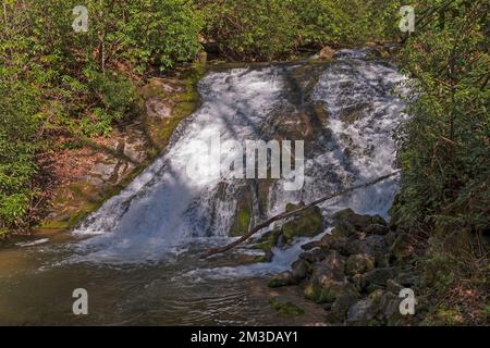 Potenti cascate Indian Creek nascoste nelle Ombre nelle Great Smoky Mountains nella Carolina del Nord Foto Stock