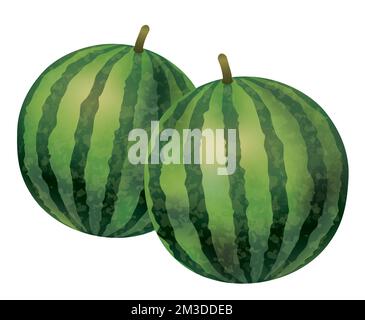 Illustrazione di anguria vettoriale disegnata a mano isolata su sfondo bianco. Illustrazione Vettoriale