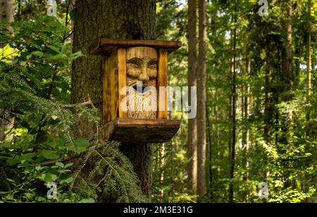 Nido su un tronco di albero nella foresta, progettato con una faccia intagliata Foto Stock