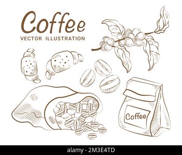 Caffè sketch set disegno a mano vettoriale sacchetto ramificazioni caffè con confezione caffè Illustrazione Vettoriale