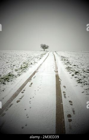 strada sterrata innevata con cingoli pneumatici Foto Stock