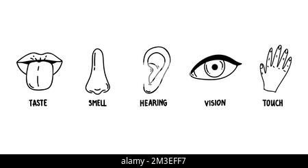Cinque icone di linea per i sensi umani. Icone di visione, olfatto, udito, tatto, gusto. Organi sensoriali umani. Set di icone occhi, naso, orecchie, mani, bocca Illustrazione Vettoriale