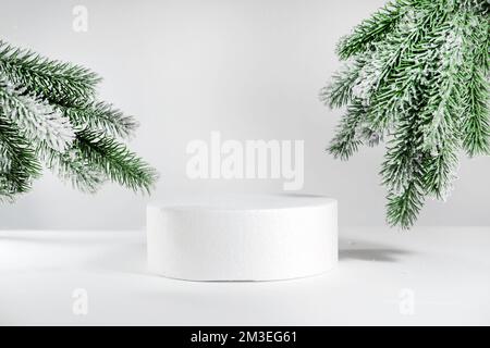 Natale creativo mock su podio vuoto o piedistallo su sfondo di ramo di natale, con il concetto di cilindro stand, al sole con ombre dure. Vuoto p Foto Stock