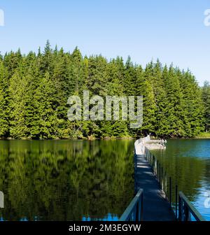 Una bella vista di un lungo molo sul lago Sasamat, Canada, British Columbia in primavera Foto Stock