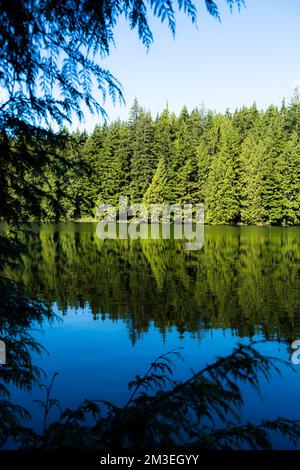 Una bella vista di un lungo molo sul lago Sasamat, Canada, British Columbia in primavera Foto Stock