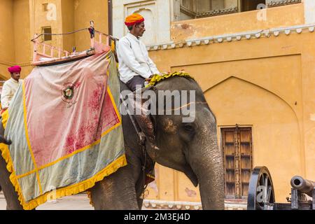 L'uomo indiano che cavalca un elefante al Fort dell'ambra a Jaipur, India Foto Stock