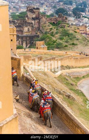 Elefanti che prendono i turisti fino al Palazzo d'Ambra a Jaipur, india Foto Stock