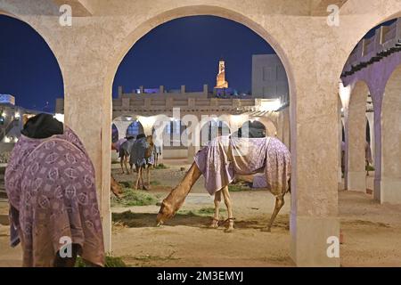 Doha, Katar. 12th Dec, 2022. Cammelli della Guardia Camel dell'Emiro del Qatar al Souq Waqif, Bazar, Coppa del mondo di Calcio 2022 in Qatar dal 20,11. - Dalle 18.12.2022 alle Credit: dpa/Alamy Live News Foto Stock