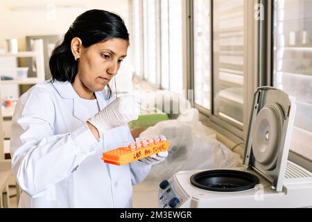 Un reseacher che colloca i campioni di DNA in una microcentrifuga Foto Stock