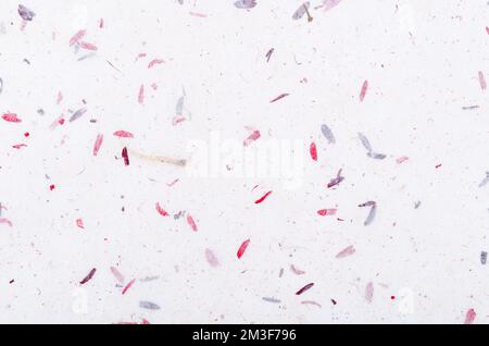 Carta fatta a mano ad alta risoluzione o grana di carta gelso come sfondo. Foto Stock