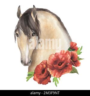 Acquerello illustrazione di un cavallo con delicato papaveri isolato Foto Stock