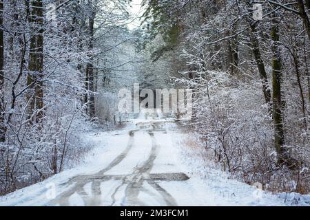 Piste per auto sulla strada innevata nella foresta invernale Foto Stock