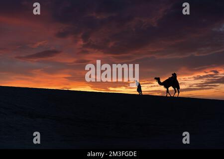 Un turista condotto da una guida beduina locale in sella a un cammello nel deserto di Sealine, Qatar. Foto Stock
