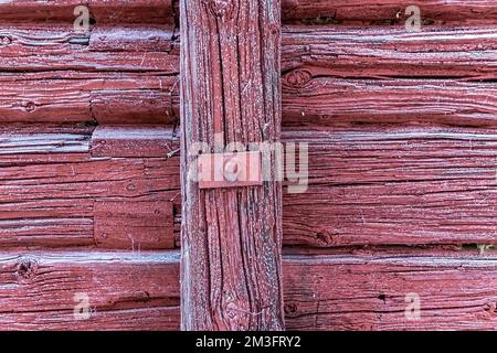 I modelli in natura si possono trovare ovunque Foto Stock