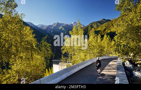 Uomo Skater nel casco cavalcare sulla strada di montagna al suo longboard vicino boschetto di legno di betulla e la cima della neve al Kazakhstan mattina d'estate Foto Stock