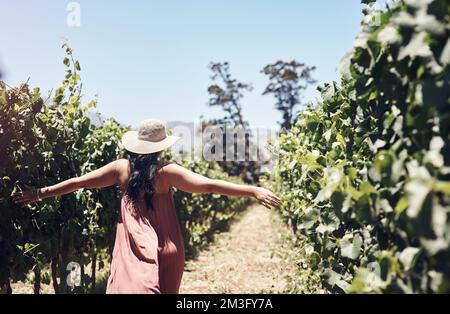 Continua a cercare e troverai quello che cerchi. una giovane donna felice che cammina attraverso un vigneto in una giornata di sole. Foto Stock