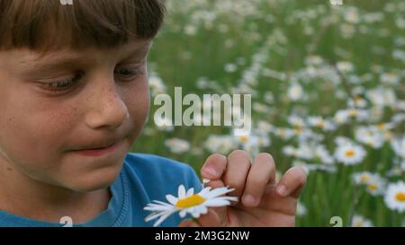 Ragazzo con indovinature di capelli rossi su una margherita bianca nel prato estivo. Creativo. Ragazzo che tiene fiore di camomilla in fiore bianco Foto Stock