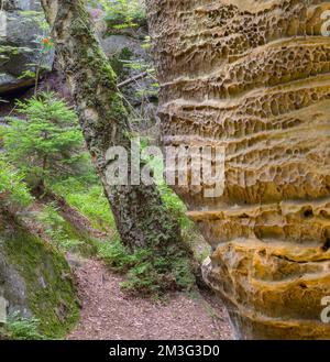 Rocce di arenaria di, Besedice, Liberecky kraj, Repubblica Ceca Foto Stock