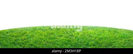 Erba verde campo isolato su sfondo bianco Foto Stock