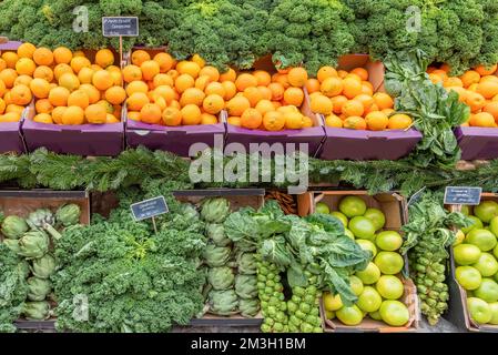 Una selezione di frutta fresca e verdura Foto Stock