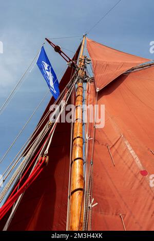 Guardando verso l'alto le vele abbronzanti del tradizionale tagliapula 'Jolie Brise', navigando sul Solent, Hampshire, Regno Unito Foto Stock