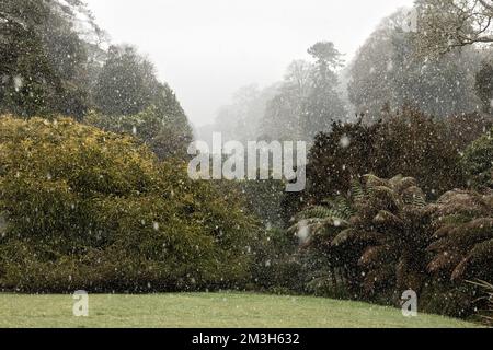 Giardino Trebah; neve; Cornovaglia; Regno Unito Foto Stock