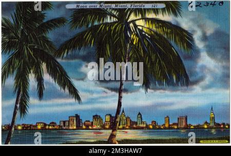 Moon Over Miami, Miami, Florida , Città e paesi, Tichnor Brothers Collection, Cartoline degli Stati Uniti Foto Stock
