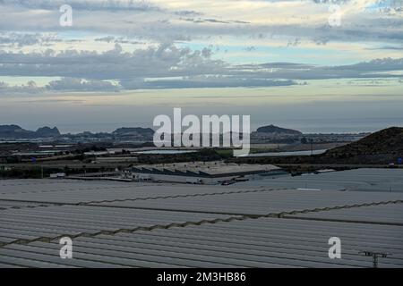 Veduta aerea di grandi campi di serre, coltivazione di ortaggi e ortaggi Foto Stock