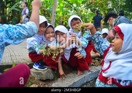 Sukamanah Village, Jambe District, Banten, Indonesia - 12 aprile 2018: Happy Energetic School Kids Playing with Plants in Front of their School SDN Suk Foto Stock