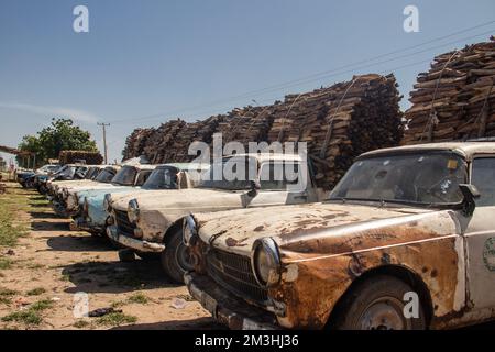 Tronchi di legno selezionati e allineati sul mercato aperto in Africa, vendendo legname per il fuoco e le famiglie Foto Stock