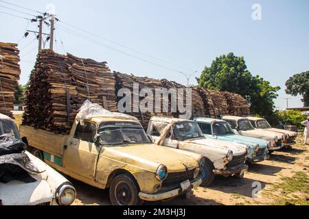 Tronchi di legno selezionati e allineati sul mercato aperto in Africa, vendendo legname per il fuoco e le famiglie Foto Stock