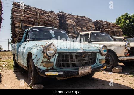 Tronchi di legno selezionati e allineati sul mercato aperto in Africa, vendendo legname per il fuoco e le famiglie Foto Stock