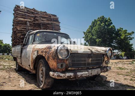 Tronchi di legno selezionati e allineati sul mercato aperto in Africa, vendendo legname per il fuoco e le famiglie Foto Stock