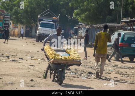 I venditori ambulanti delle strade africane vendono canna da zucchero come dolci locali, biologico sano senza additivi alimentari Foto Stock