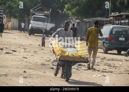 I venditori ambulanti delle strade africane vendono canna da zucchero come dolci locali, biologico sano senza additivi alimentari Foto Stock