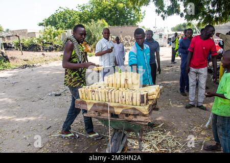 I venditori ambulanti delle strade africane vendono canna da zucchero come dolci locali, biologico sano senza additivi alimentari Foto Stock