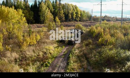 Persone in quad, vista aerea. Fermo. Turisti che guidano quad attraverso la foresta, stile di vita attivo e concetto di viaggio Foto Stock