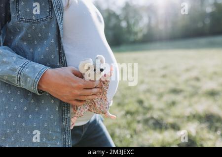 Una donna incinta che tiene un piccolo giocattolo morbido del mouse in un campo soleggiato Foto Stock