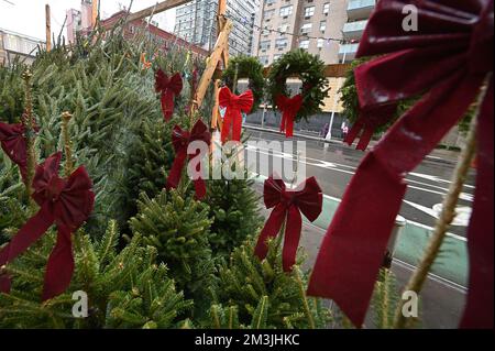 New York, USA. 15th Dec, 2022. Holiday ribbons adorn various sized Christmas trees for sale on a 2nd Avenue sidewalk on Manhattan's Upper East Side, New York, NY, December 15, 2022. Rows of Douglas furs and Scotch Pines traditionally spring up for sale on residential street corners in New York City after Thanksgiving, and start coming down on Christmas Day. (Photo by Anthony Behar/Sipa USA) Credit: Sipa USA/Alamy Live News Foto Stock
