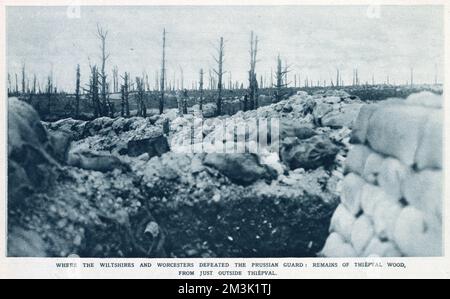 I resti di legno di ThiŠpval, distrutti dall'artiglieria alleata, sul fronte occidentale durante la prima guerra mondiale. Foto Stock