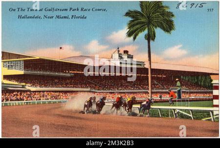 Al turno al Gulfstream Park, Hallandale, vicino a Miami, Florida, strutture sportive e ricreative, Tichnor Brothers Collection, cartoline degli Stati Uniti Foto Stock