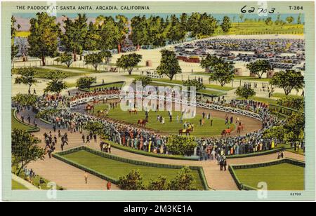 Il paddock a Santa Anita, Arcadia, California, Sports & Recreation facilities, Tichnor Brothers Collection, cartoline degli Stati Uniti Foto Stock