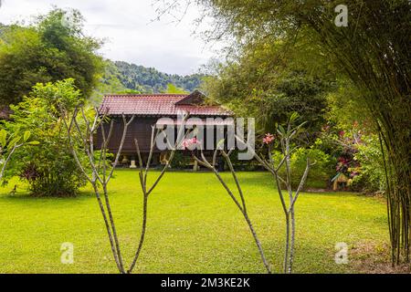 Tradizionale casa locale in legno nella foresta dell'isola malese Langkawi. In una radura nella foresta pluviale, una tipica casa di legno. Malay case r Foto Stock