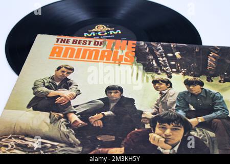 Blues rock band, The Animals, album musicale su disco LP con dischi in vinile. Intitolato: Il meglio degli animali Foto Stock