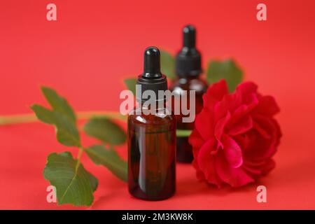 Olio essenziale di rosa. Olio di rosa biologico in bottiglie di vetro marrone e rosa rossa su sfondo rosso. Aromaterapia e cosmetici Foto Stock